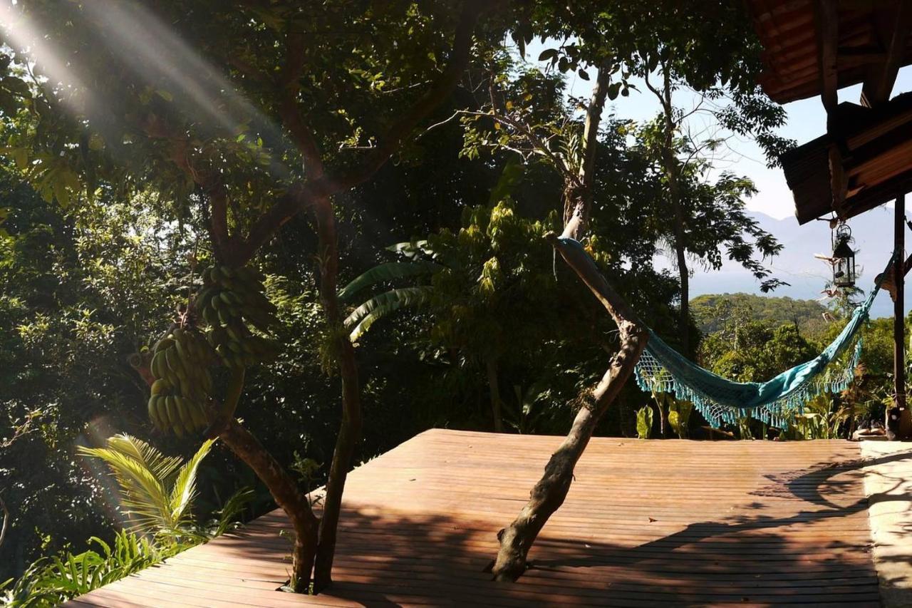 Rainforest House - *