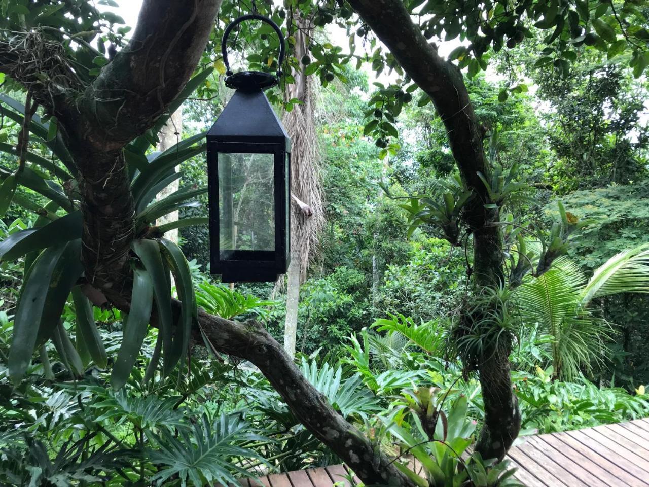 Rainforest House - Guest house
