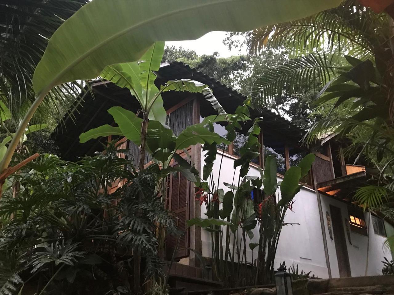 Rainforest House - *