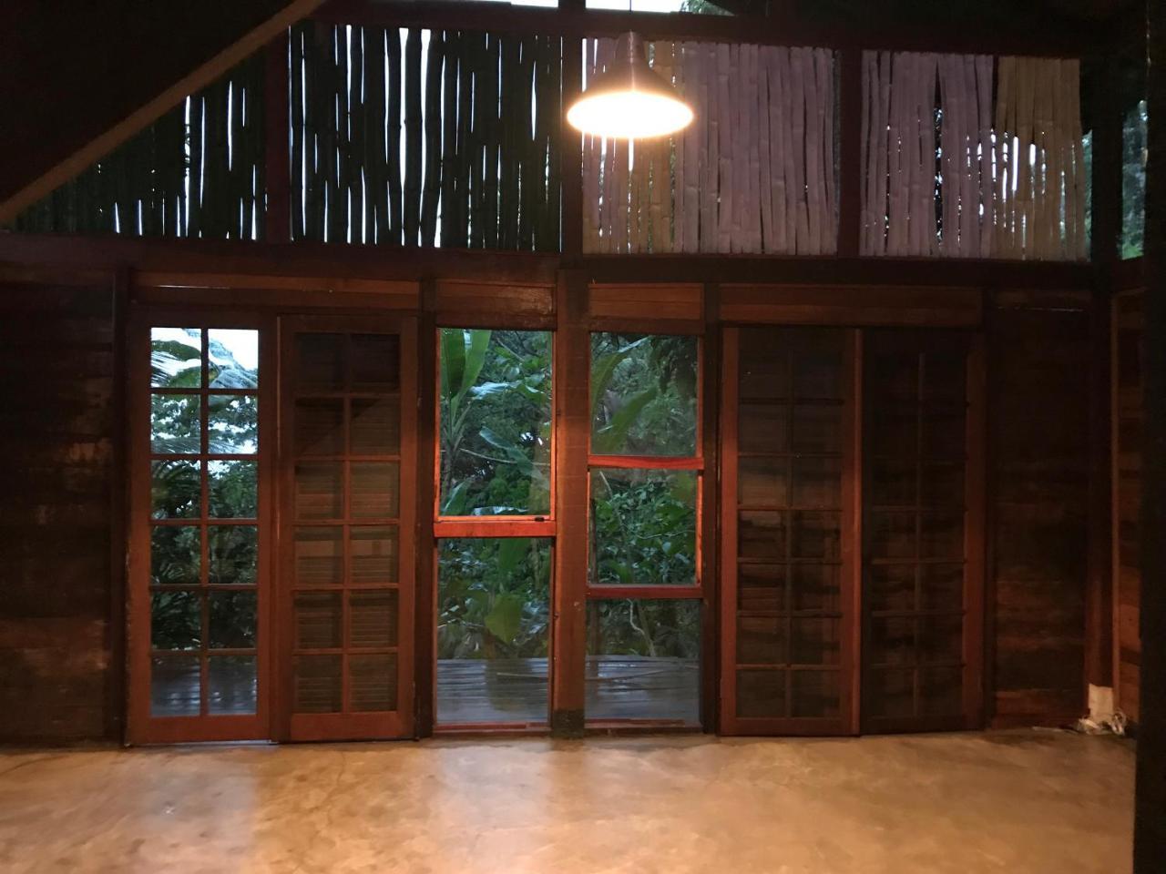 Guest house Rainforest House -