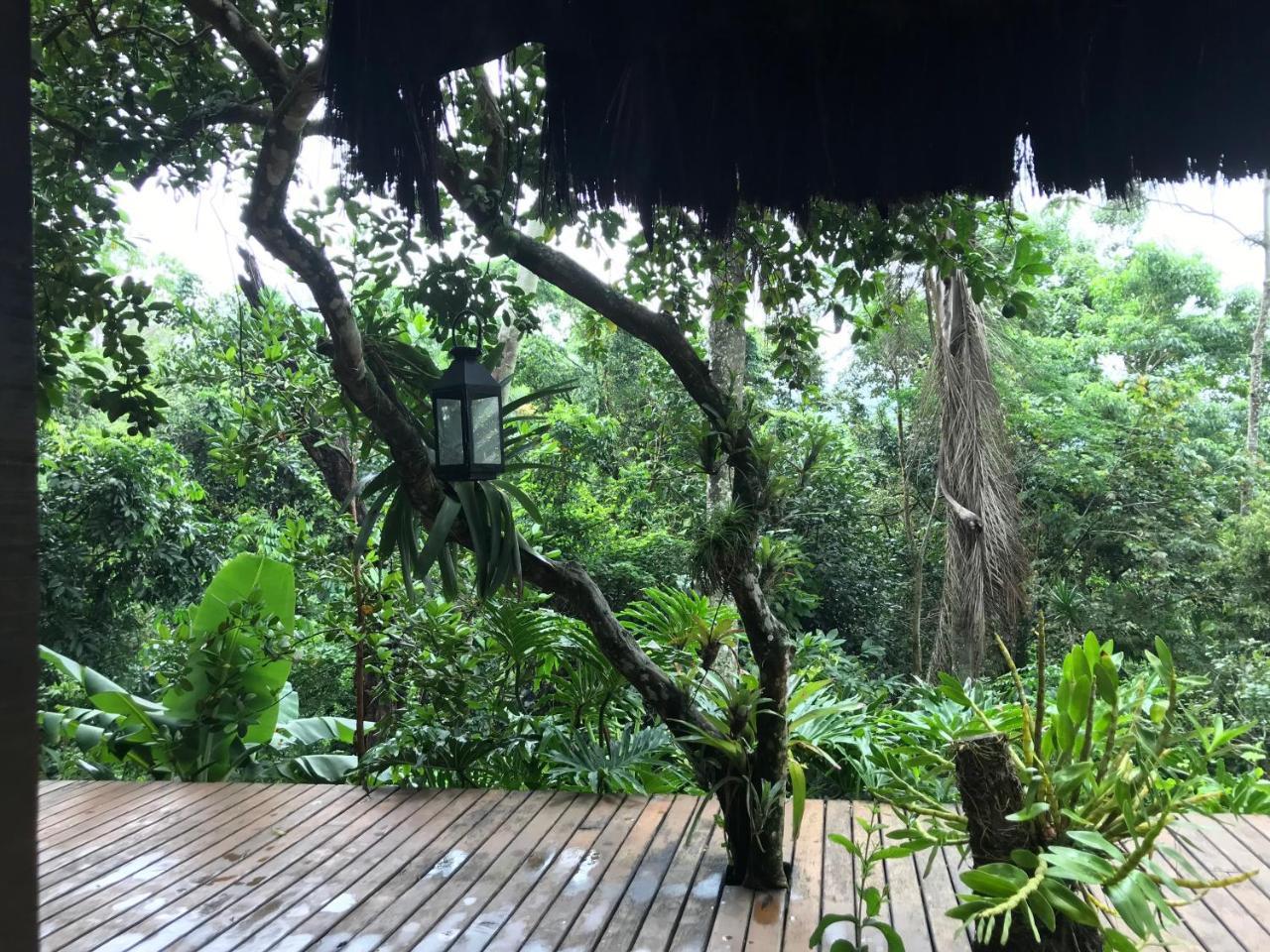 Rainforest House - Guest house Vila do Abraao